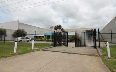 Decorative Steel Bi Fold Gates